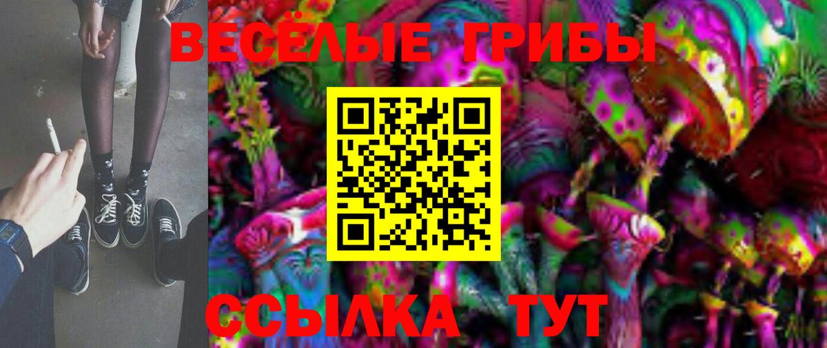 Псилоцибиновые грибы MAGIC MUSHROOMS  Вход с VPN  Галлюциногенные грибы прущие грибы  Соль-Илецк 
