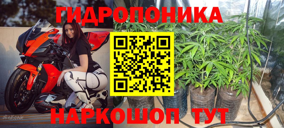 Соль-Илецк  Конопля планчик  Вход с VPN  Конопля White Widow  МАРИХУАНА THC 21% 
